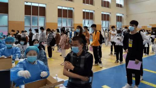 新河爆料最新消息视频,最新视频揭秘事件真相  第3张